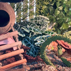 Reptile Plants,Terrarium Decor,Amphibian Habitat Decor,Artificial Plants for Gecko Chameleon Snake Tortoise Tank Accessories with Base(Alocasia)