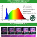 Qoolife Seed Starter Tray with Plant Light, 2 Pack Grow Lights for Seed Starting Kit with Humidity Domes, Timing Controller Adjustable Brightness for Greenhouse Propagator Station Planting Growing
