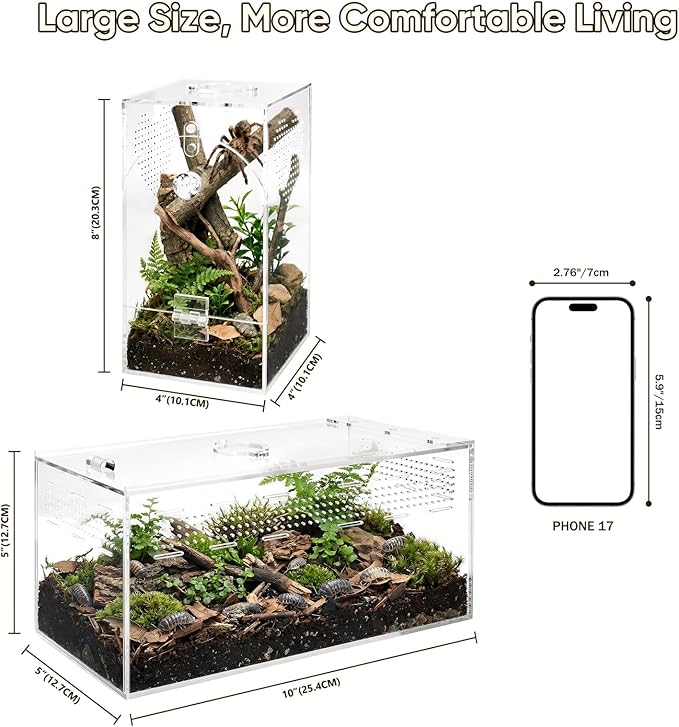 Jumping Spider Enclosure Set, Terrestrial Arboreal Combo, Acrylic Tarantula Terrarium, Praying Mantis Habitat, No Assembly, 2-Size Kit, Large