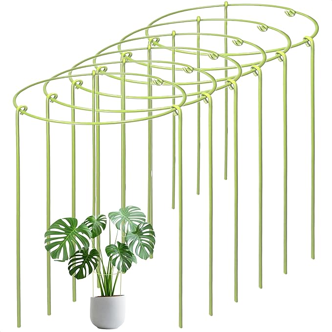 6-Pack Heavy Duty Plant Stakes and Supports for Indoor Outdoor Plants, Metal Support Stakes & Cage Rings, Ideal for Monstera, Peonies, Roses (6" W x 11" H)