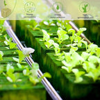 Halatool 1 Inch Rockwool Cubes Garden Rock Wool Stonewool Grow Cubes Starter Plugs for Hydroponics Soilless Cultivation Clone Plants Germination Start (4 Sheets, 200 Plugs in Total)