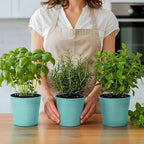 Plexon Herb Planter Indoor Garden Set of 3 with Tray, Metal Herb Pots for Indoor Plants, Round Kitchen Garden Kit Ideal for Windowsill Planter or Countertop, Aqua Mist Blue Powder Coated