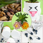 3 Pcs Cute Fake Plant Mini Potted Succulents with Hanging Leg White Pot Creative Artificial Succulent Plants in Funny Pot Faux Succulents for Home Office Shelf Desk Decor and Gift Choice