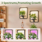 LASZOLA Plant Hangers Holder Wall Mount Indoor Window with 3 Grow Light, 3 Pack Floating Flower Stand Shelf with Hooks, Metal Picture Frame Hanging Planter Display Decor for Kitchen Bathroom, Black