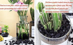 1lb Obsidian Aquarium Gravel Rocks Natural Tumbled Healing Crystal Chips Bulk Gemstones Tumbled Crushed Stones for Fountain Vase Filler Planters Decorative Fish Tank Potted Reiki Energy Balancing