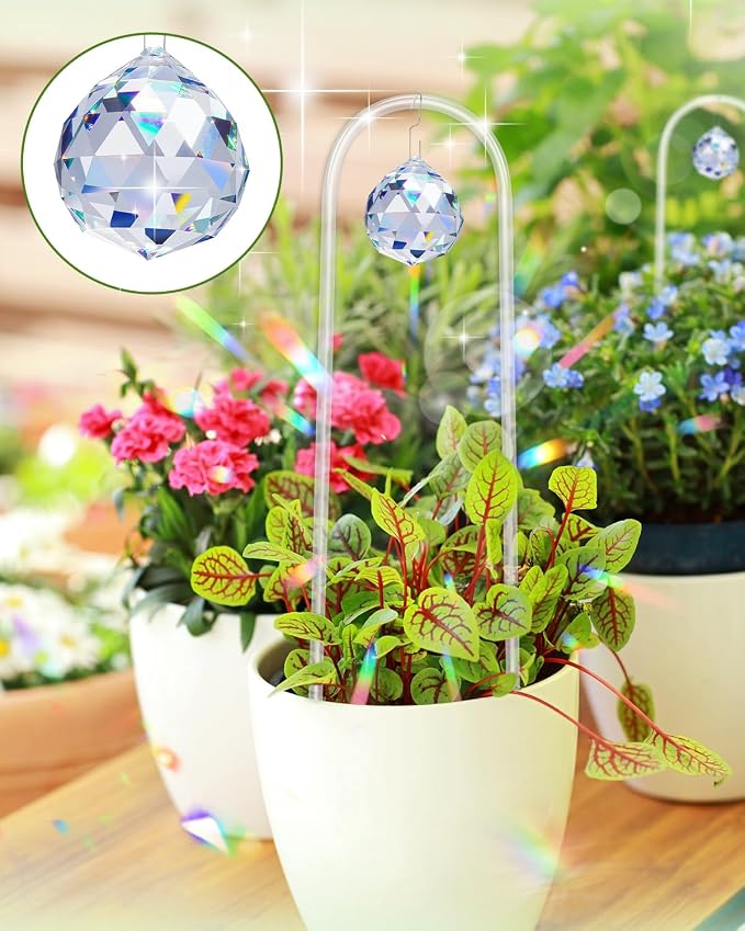 eZAKKA U-Shaped Acrylic Plant Trellis, 2 Pcs Hoya Trellis for Supporting Potted Climbing Plants Potted Ivy Indoor Outdoor with 2PCS Crystal Sun Catcher,4.7 x 11.8in