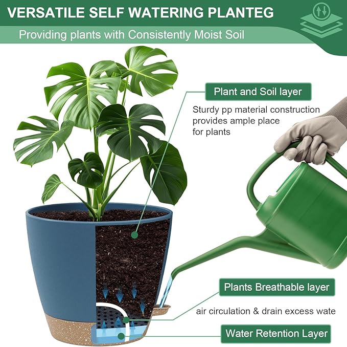 montresor 2 Pack 10 inch Plant Pots, PP Plastic Self Watering Plant Pot with Drainage and Tray for Indoor Outdoor Plants, Water Level Window & Reservoir Flower Pots Decorative Planter (Blue)