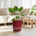 Ceramic Planter for Plants - 10 Inch Plant Pot Indoor with Drainage Hole and Saucer Modern Large Outdoor Planter Flower Pot for Home Decor Red
