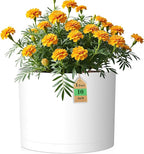 10 Inch Round Plastic Plant Pot with Drainage Holes and Saucer, Wide Flower Pots for Indoor & Outdoor Plants– 7.9" Tall Modern Cylinder Planter Pot for House Plants and Home Decorative, Matte White