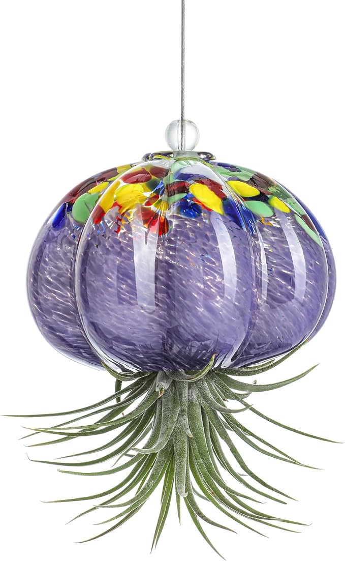 H&D HYALINE & DORA Hanging Hand Blown Art Glass Jellyfish Air Planter Terrarium Decor for Garden Porch Windowsill (No Plants)