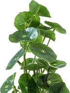 MyGift Set of 3 Fake Plants, Small Artificial Potted Plants Indoor in Clear Glass Pot, 9.5 Inch Faux Plant for Home Decor