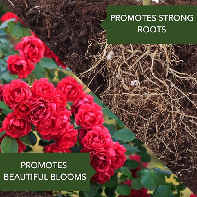 BioAdvanced All-In-One Rose and Flower Care I Granules - Fertilizer, Insect Control & Disease Control - Prevents Pests and Diseases - Up to 6 Weeks Protection - 4 lb Bottle
