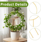 2 Pack Circle Trellis for Climbing Plants Indoor, Small Metal Garden Plant Support Stakes for Decorative Potted Plants Pothos Hoya Trelli Vines Indoor Outdoor (Gold)