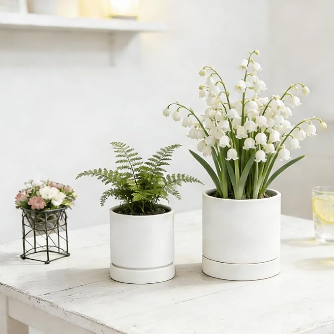 GreenShip 2pcs Plant pots, self Watering pots for Indoor Plants (White, 4.7in+6in)