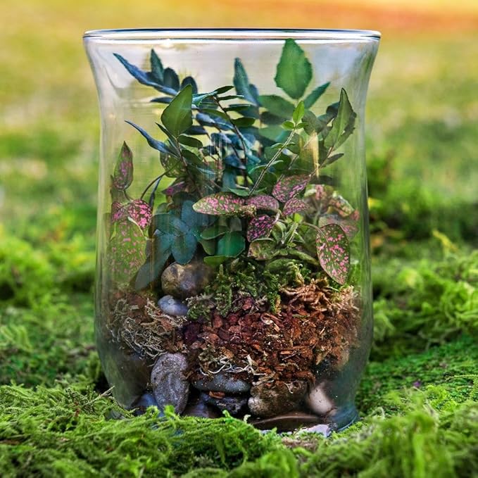 SuperMoss (90421) Terrarium Kit, 8 oz, Forest