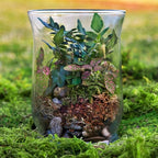 SuperMoss (90421) Terrarium Kit, 8 oz, Forest