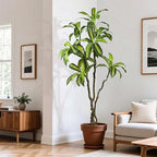 Artificial Dracaena Tree 6.5ft(78in) Faux Floor Plant for Indoor Decor Realistic Potted Tree with Texture Lifelike Leaves and Natural Wood Trunk for Home Living Room,Office Perfect Housewarming Gift