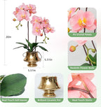 CXGS Orchids Artificial Flowers Realistic Fake Flowers in Ceramic Vase 20" Pink Faux Plants Indoor Lifelike Soft PU Phalaenopsis for Centerpiece Hotel Home Decor