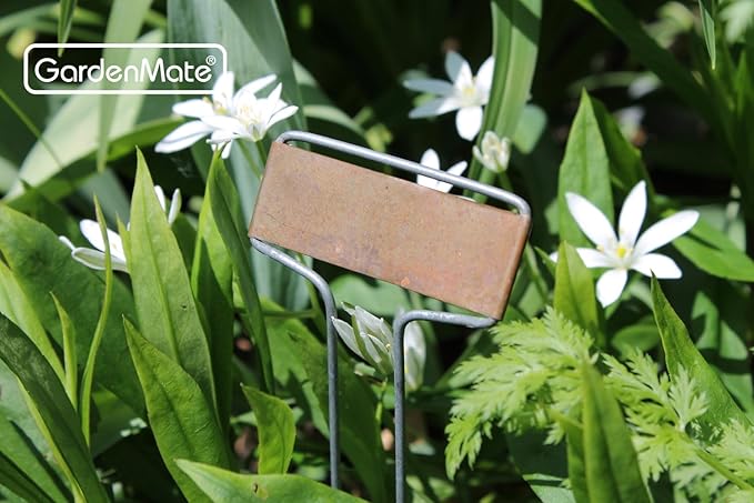 GardenMate 50-Pack Weatherproof Banner Copper Metal Plant Labels, Height 10.5", Label Area 2.5'' x 7/8''