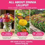 HOME GROWN Zinnia Lilliput Mix Flower Seeds for Planting Spring 2026 – 2500 Seeds (2g) Zinnia elegans – Colorful Zinnia Seed Mix for Garden Beds, Containers & Cut Flowers, Easy Grow Zinnia Seeds