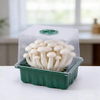 DECOHS 4 Pack Monotub Mushroom Grow Kit, 6.5" x 5" x 6.5" Small Mushroom Fruiting Chamber Propagation Boxes, Monotub Mushroom Growing Box Mini Greenhouse with Spray Bottle for Horticulture Supplies