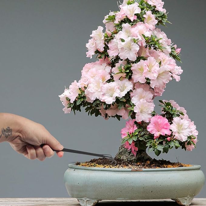 BambooMN Bonsai 2pc Set - 9" Root Pick and 9" Root Rake - 30 Sets