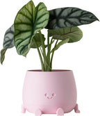 TOPOLA Happy Face Planter, 5.2 Inches Plastic Plant Pot, Self Watering Plant Pot with Drainage Holes for Indoor Outdoor, Succulent Pot, Funny Flower Pot, Sakura