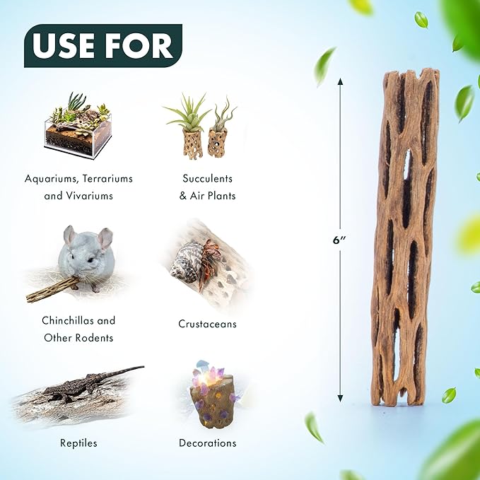 SubstrateSource Natural Cholla Wood - Driftwood for Aquariums, Air Plant Base, Hermit Crab and Freshwater Shrimp Hideout, Fish Tank Decoration, Chinchilla Chews, Reptile Habitat Wood - 6 Inch, 2pc