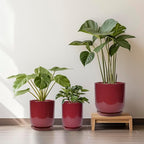 Ceramic Planter for Plants - 10 Inch Plant Pot Indoor with Drainage Hole and Saucer Modern Large Outdoor Planter Flower Pot for Home Decor Red