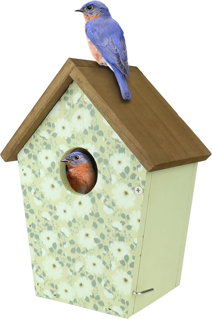 Wild Wings Decorative Bluebird House Olive Blossoms, Green