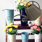 Fasmov Plastic Watering Can, 1-Gallon, Deep Gray