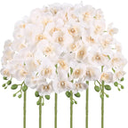 6PCS White Orchid Artificial Flowers 27’’ Fake Orchid Phalaenopsis Branches Silk Orchids for Vase Table Centerpiece Home Wedding Party Garden Decoration(Champagne)