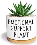 Kwtzkuo® Emotional Support Plant, Funny Succulent Pots, 3.5 inch Ceramic Flower Plant Pots, Cute Cactus Planters with Drainage Hole, Small Cute Planter Gift