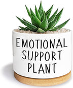 Kwtzkuo® Emotional Support Plant, Funny Succulent Pots, 3.5 inch Ceramic Flower Plant Pots, Cute Cactus Planters with Drainage Hole, Small Cute Planter Gift