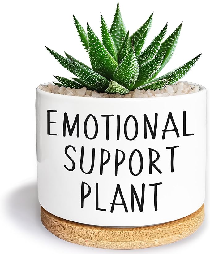 Kwtzkuo® Emotional Support Plant, Funny Succulent Pots, 3.5 inch Ceramic Flower Plant Pots, Cute Cactus Planters with Drainage Hole, Small Cute Planter Gift