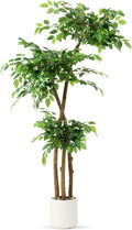 5FT Artificial Ficus Tree with White Planter and Pebbles,Faux Silk Tree with Lifelike Leaves and Realistic Trunk,Tall Fake Potted Plant for Home and Office Décor Indoor and Outdoor (5FT)