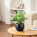 vancasso 3-Pack Ceramic Plant Pots, 7.3/9.6/11.6 Inch Indoor Planters with Saucers & Drainage Hole Planter pots for Indoor Plants and Flower, Black