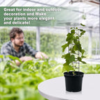 17.5 Inch Indoor Plant Trellis for Climbing Plants, Small Metal Garden Trellis for Potted Plants,Plants Accessories Hoya,Flower,Plant Support (Ladder-Metal)