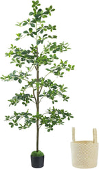 Artificial Black Olive Tree 6FT, Fake Potted Tree for Indoor Outdoor, Lifelike Faux Floor Plants with Moss Topper and Cotton Basket, Home Office Living Room Bedroom Doorway Hallway Decor