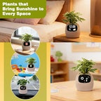 Smart Planter with App Control, Self-Watering AI Plant Pot with LCD Display, Interactive Desk Plant Companion for 100+ Plants, Smart Indoor Planter with Pomodoro Timer,80ml Reservoir,Calendar-Pink