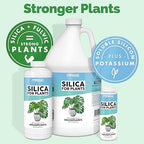 Silica for Plants, Liquid Silicon Plant Food for Strong Stems and Healthy Leaves, Liquid Plant Fertilizer, 32 oz (1 Quart)