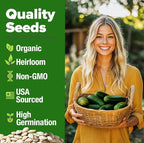 HOME GROWN Organic Marketmore Cucumber Seeds 200+ Heirloom Non-GMO Seeds for Planting, High Germination, Hardy & Vigorous Slicing Cucumber, Trellis & Raised Bed Garden (Cucumis sativus)