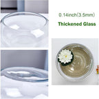 10" Large Glass Lotus Bowl Planter with Braided Tray Round Clear Glass Water Lily Flower Pot Indoor Hydroponic Aquatic Plant Bonsai Vase Can As a Fish Tank