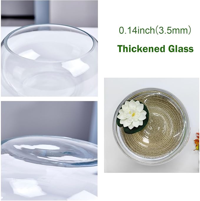 10" Large Glass Lotus Bowl Planter with Braided Tray Round Clear Glass Water Lily Flower Pot Indoor Hydroponic Aquatic Plant Bonsai Vase Can As a Fish Tank