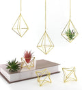 Air Plant Hangers with Chains, 6 Pcs Gold Tillandsia Holders for Wall/Ceiling Decor, 3 Hangers + 3 Stands Set, Boho Indoor Home Office Display, Modern Air Fern Plant Décor
