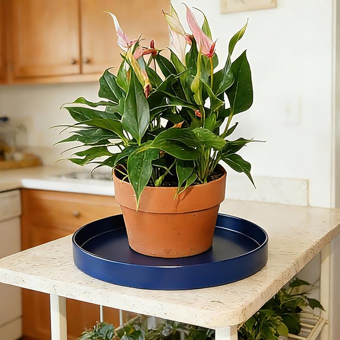 Plant Saucer 6 inch Drip Tray for Ceramic Plastic Pots, 2 Pack Plant Saucers for Indoors, Plastic Planter Flower Pot Saucers for Potted Plants, Planter Water Trays for pots Base (6", Blue)