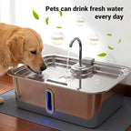 Dog Water Fountain Filter 12-Set, 12L/15L/18L Stainless Steel Dog Water Bowl Dispenser Filters, Pet Water Fountain Filters Set, 12 Filters and 12 Sponges
