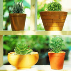 QUOZUO Green Succulent Plants, 6pcs Mini Fake Succulents Plants for DIY Crafting Home Floral Wall Office Decoration (excluding pots)