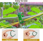 Plant Support Clips, 100 Pcs Tomato Clips, Plastic Trellis Clips, Grape Vine Tomato Vine Vegetables Plants Garden Support Clips to Grow Upright Makes Plants Healthier