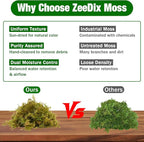 ZeeDix 8 oz Forest Moss for Plants Indoor - Dried Orchid Moss for Repotting, Natural Green Sphagnum Moss for Potted Plants Carnivorous Monstera Succulents Crafts Reptile Habitat (Expands to 12 qt)